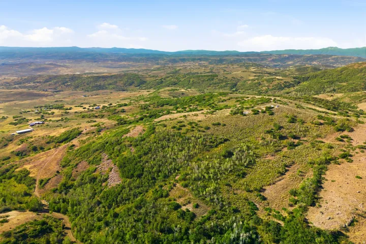 Expansive land parcel featuring rolling hills, varied topography, mature trees, and natural vegetation