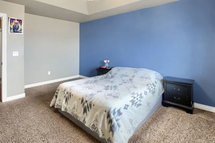 Neutral-toned carpet flooring and a tray ceiling