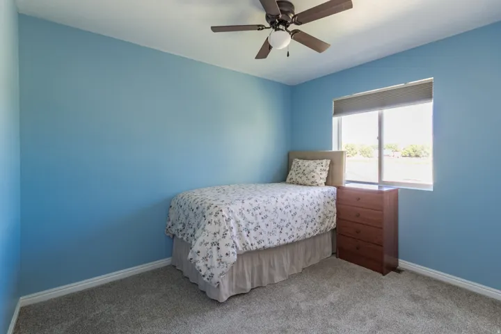 Plush carpeted flooring, a ceiling fan with integrated lighting, a dual-pane window, and white trim