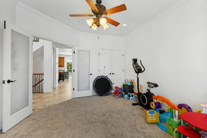 Plush carpet flooring, crown molding, and a ceiling fan with integrated lighting