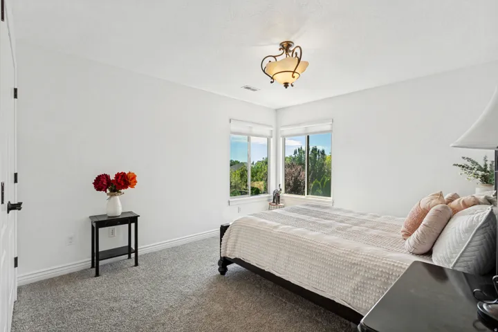 Wall-to-wall carpeting, dual windows, and an overhead light fixture