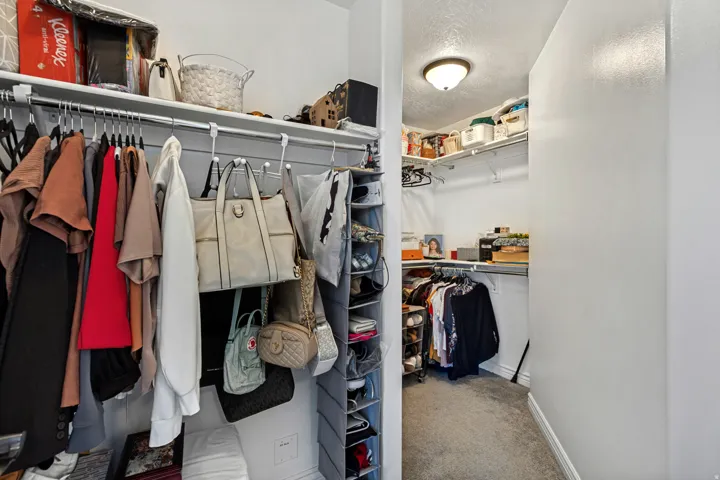 Walk-in closet featuring carpet flooring, built-in shelving, and hanging rods