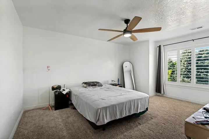 Carpeted flooring, white walls, and a ceiling fan with light fixture