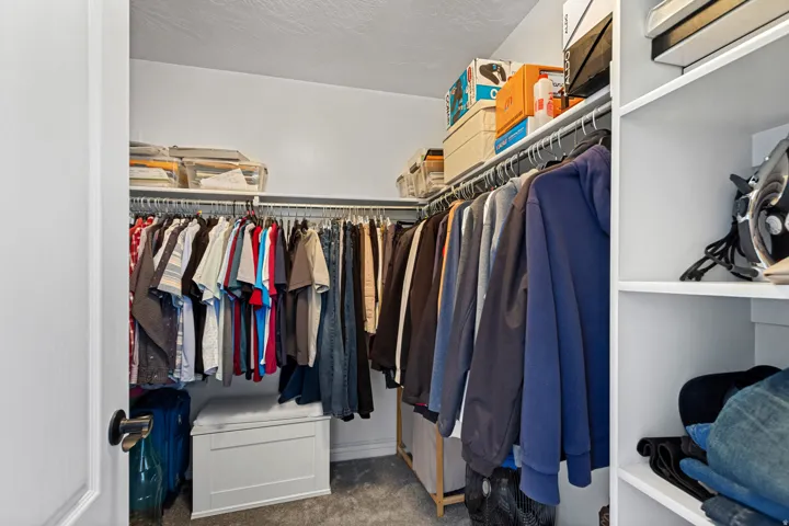 Walk-in closet with built-in shelving, hanging rods, and carpet flooring