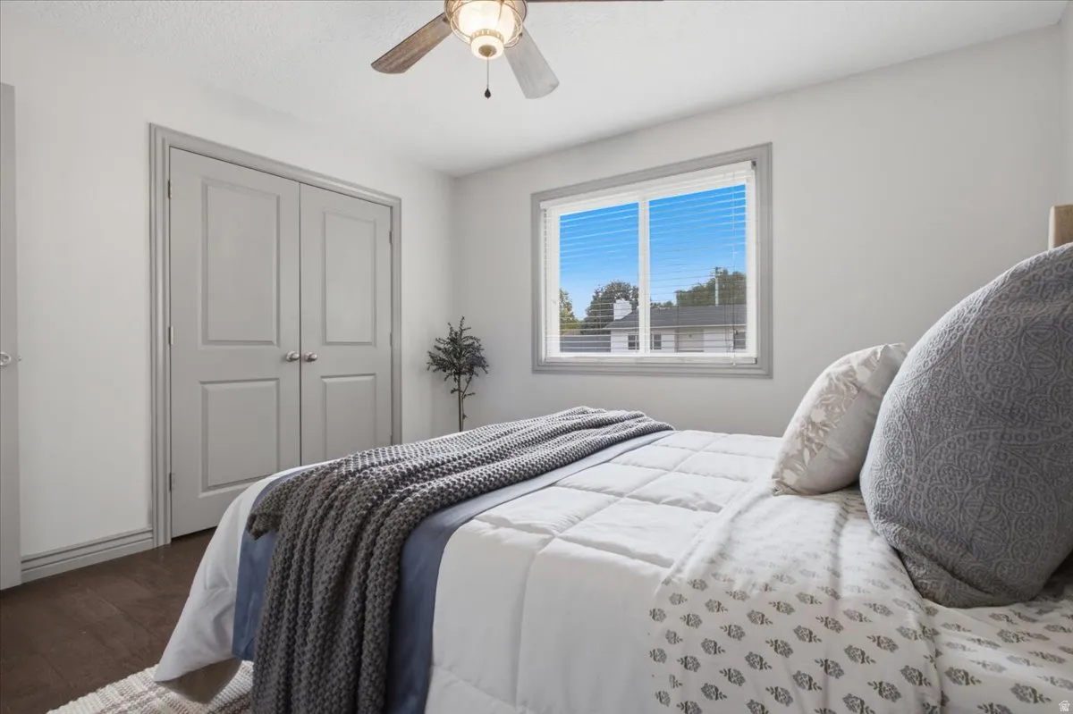Wood-finish flooring, ceiling fan, double panel doors, and a window with blinds