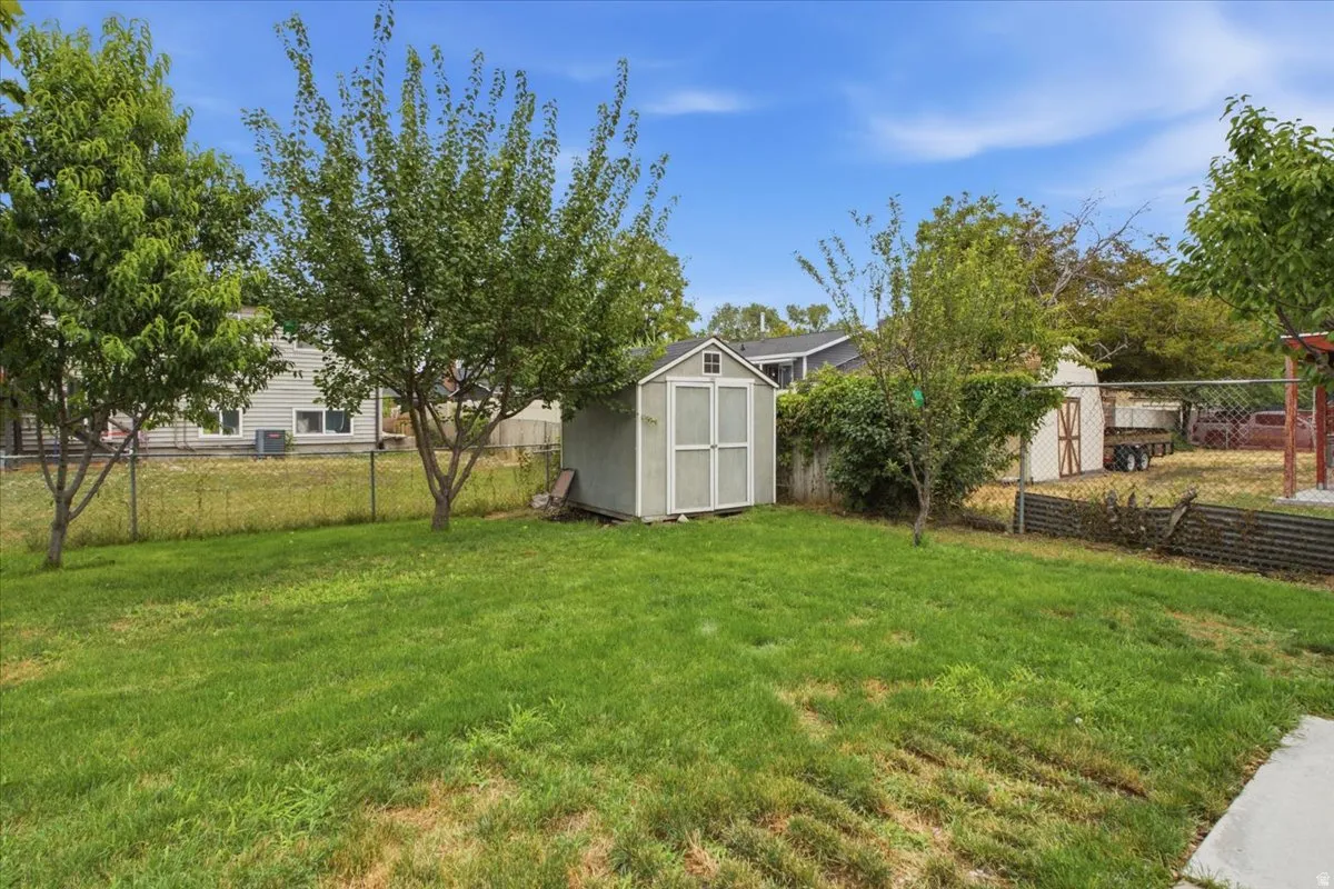 Expansive green space featuring mature trees, a chain-link fence, and a storage shed