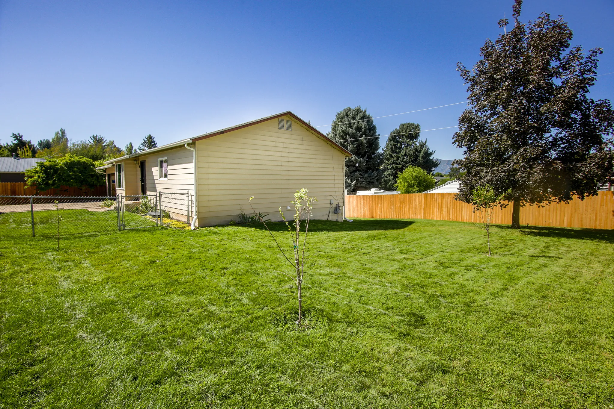 Expansive green lawn with a newly installed wood fence
