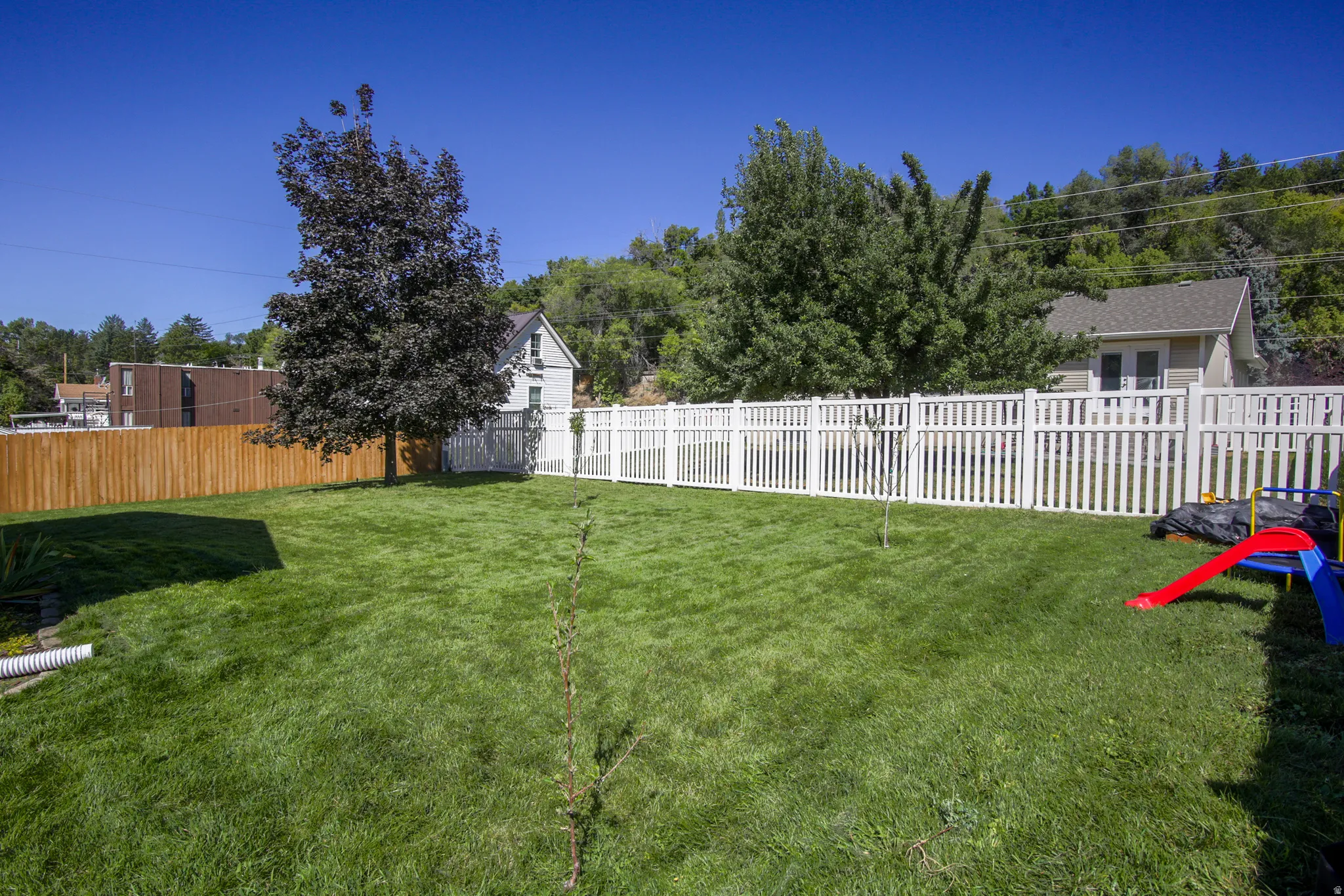 Expansive lawn with a mature tree, bordered by a white picket fence and a wood privacy fence