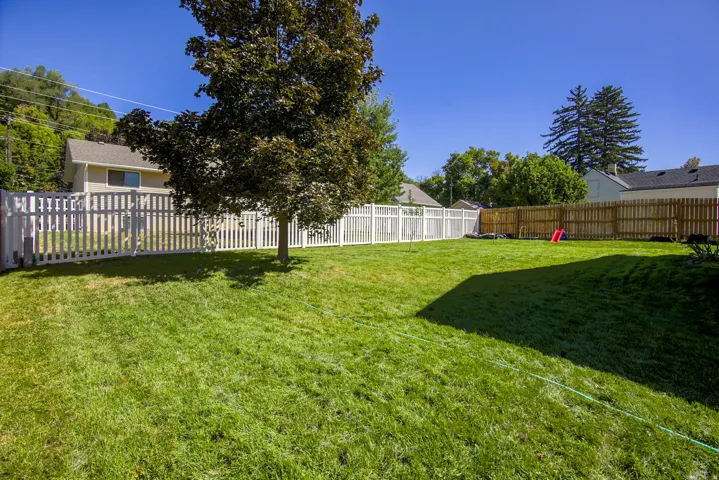 Expansive grassy yard with a mature tree