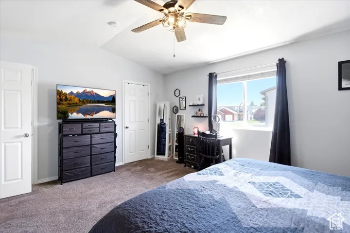Tray ceiling with a ceiling fan, plush carpet flooring, and a large window