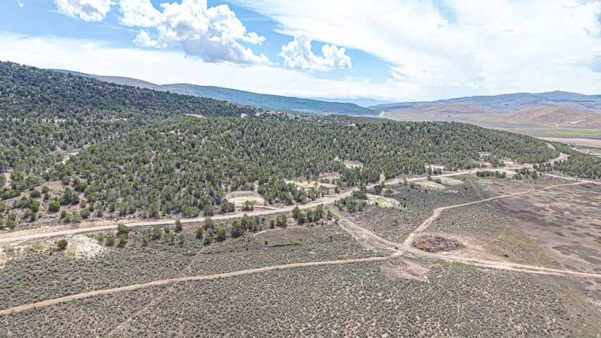 Expansive natural landscape featuring rolling hills, mature trees, and natural vegetation