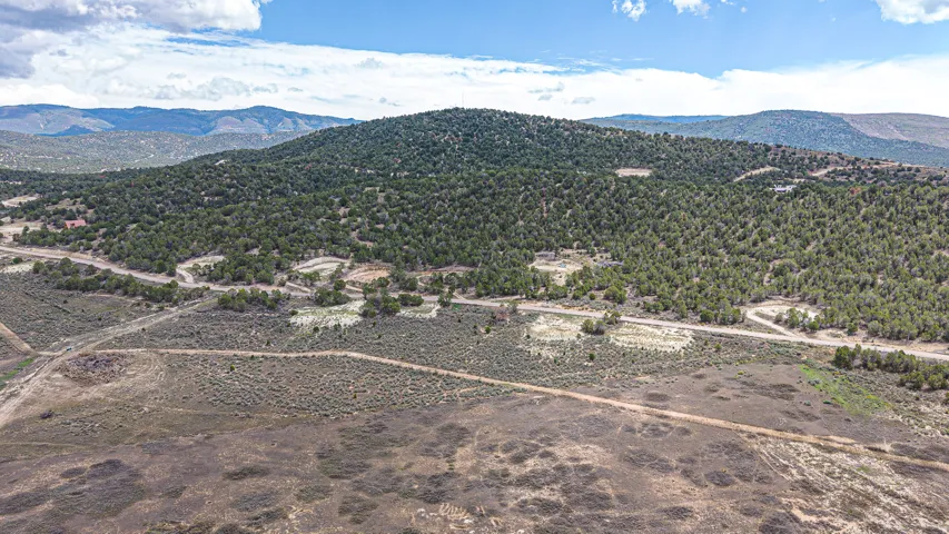 Expansive natural landscape featuring varied terrain, abundant evergreen trees, and distant mountain ranges