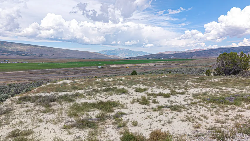 Expansive desert landscape featuring sparse vegetation and distant mountains