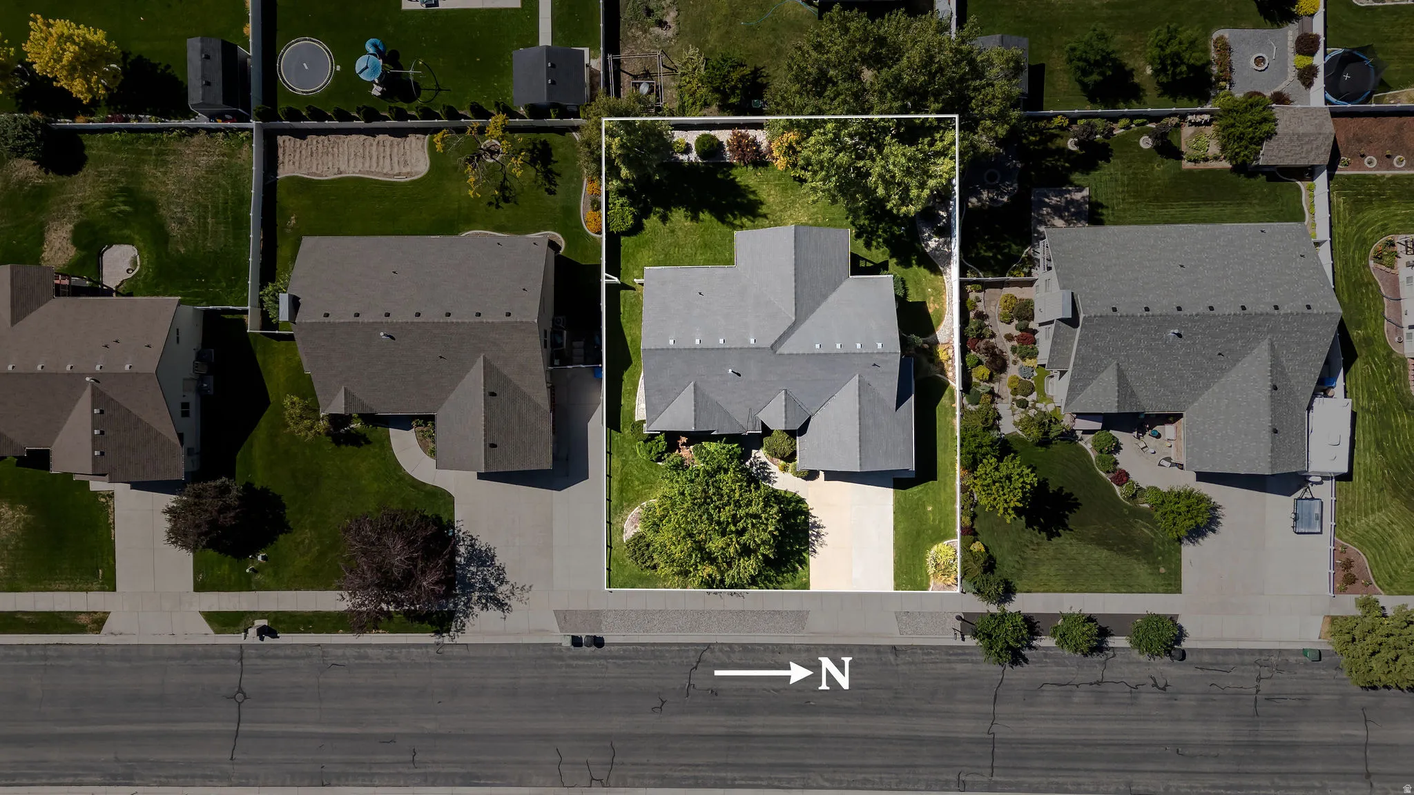 Expansive lot featuring mature landscaping, a paved driveway, and established walkways