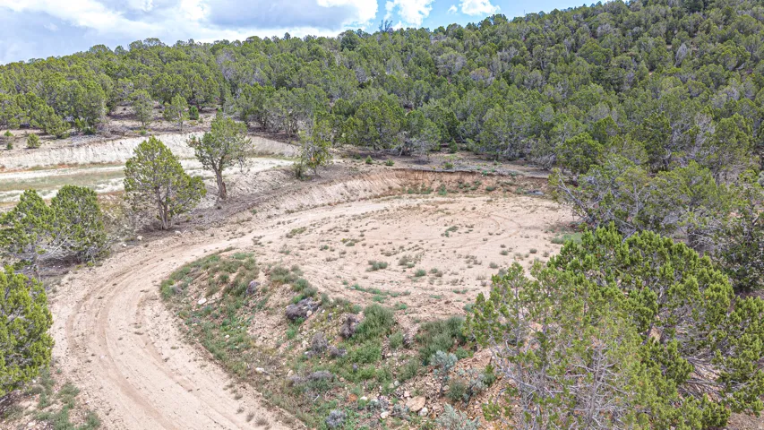 Dirt road access, established tree coverage, and varying terrain