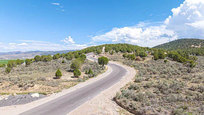 Winding paved road, natural high desert landscaping, distant green fields, and rolling hills under a bright sky