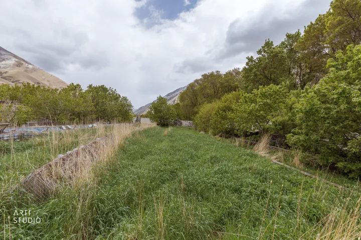 Expansive green space with abundant natural vegetation and surrounding mature trees
