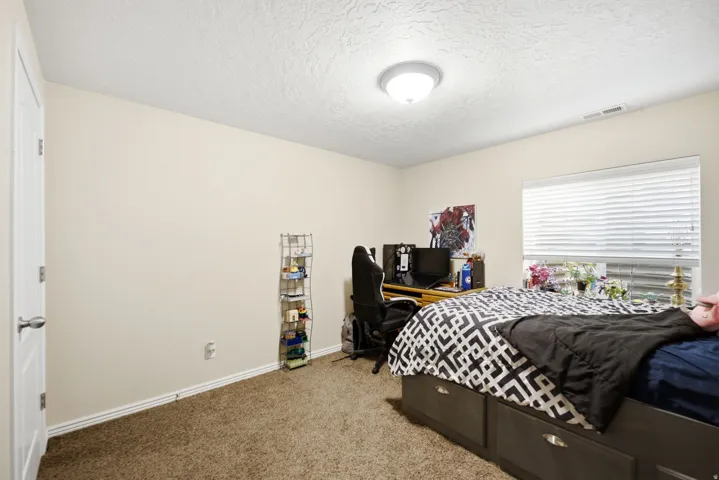 Carpeted flooring, neutral wall paint, window with blinds, ceiling-mounted light fixture, and a white interior door