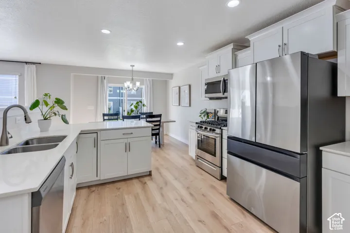 Kitchen featuring stainless steel appliances, white cabinetry, a kitchen island, double basin sink, and wood-finish flooring