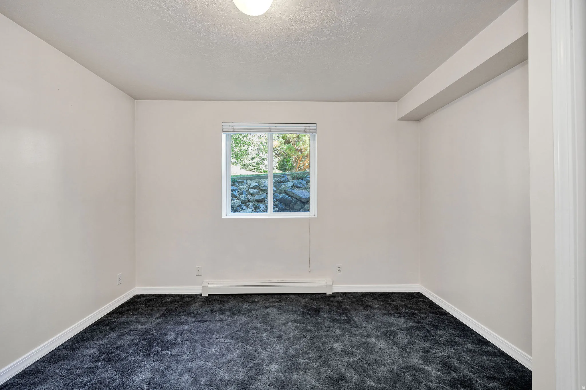 Neutral wall paint, double-pane window, carpet flooring, baseboard heating unit, and an overhead light fixture