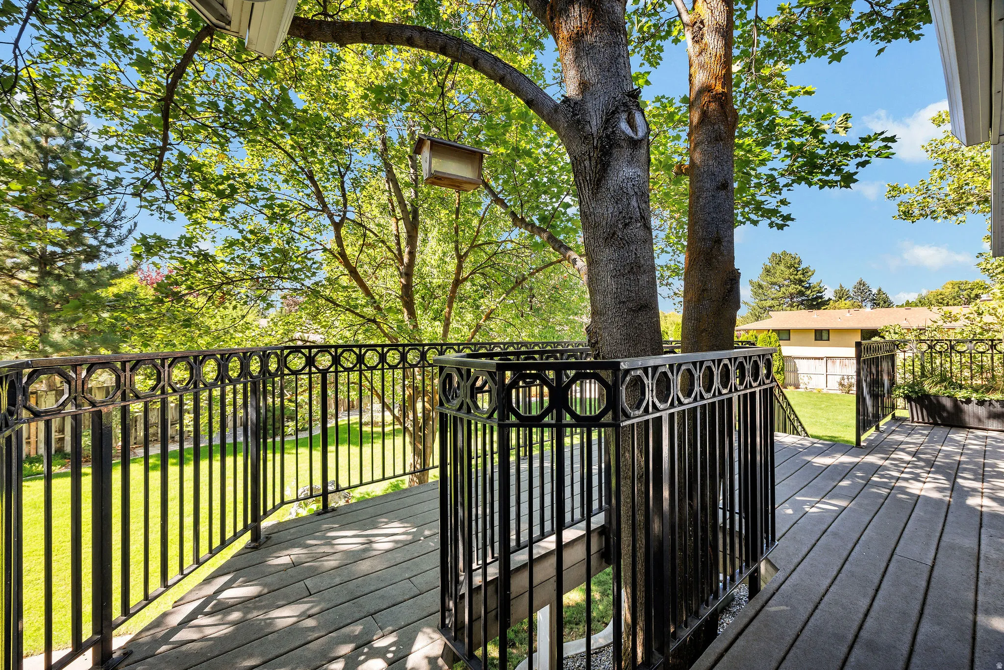Expansive outdoor decking featuring composite planks and decorative metal railings, surrounded by mature trees