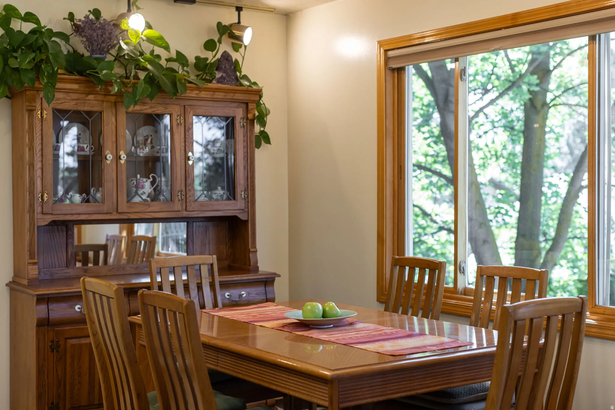 Natural light from large windows, wood-framed windows, track lighting fixture, built-in display cabinet with glass doors, and a wood dining table