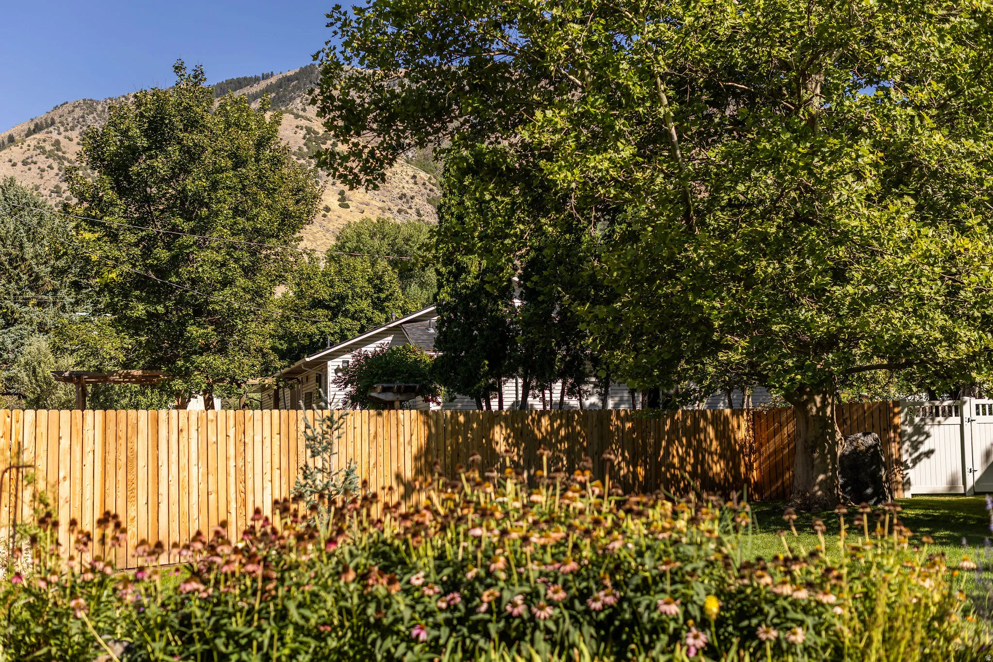 Expansive backyard featuring a new wood privacy fence, mature trees, and perennial plantings