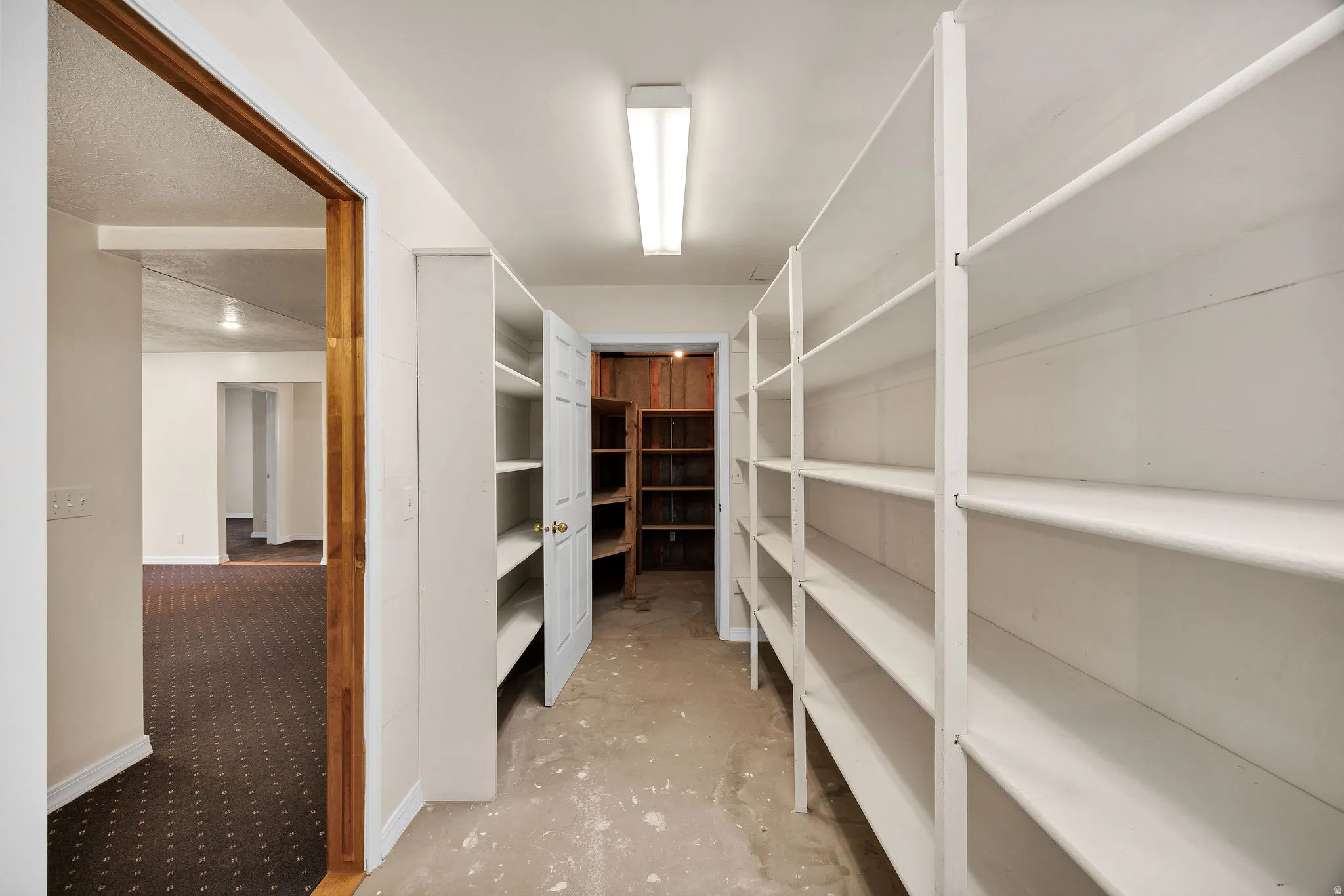 Extensive built-in shelving, corridor with carpeted flooring, and a flush mount ceiling light fixture