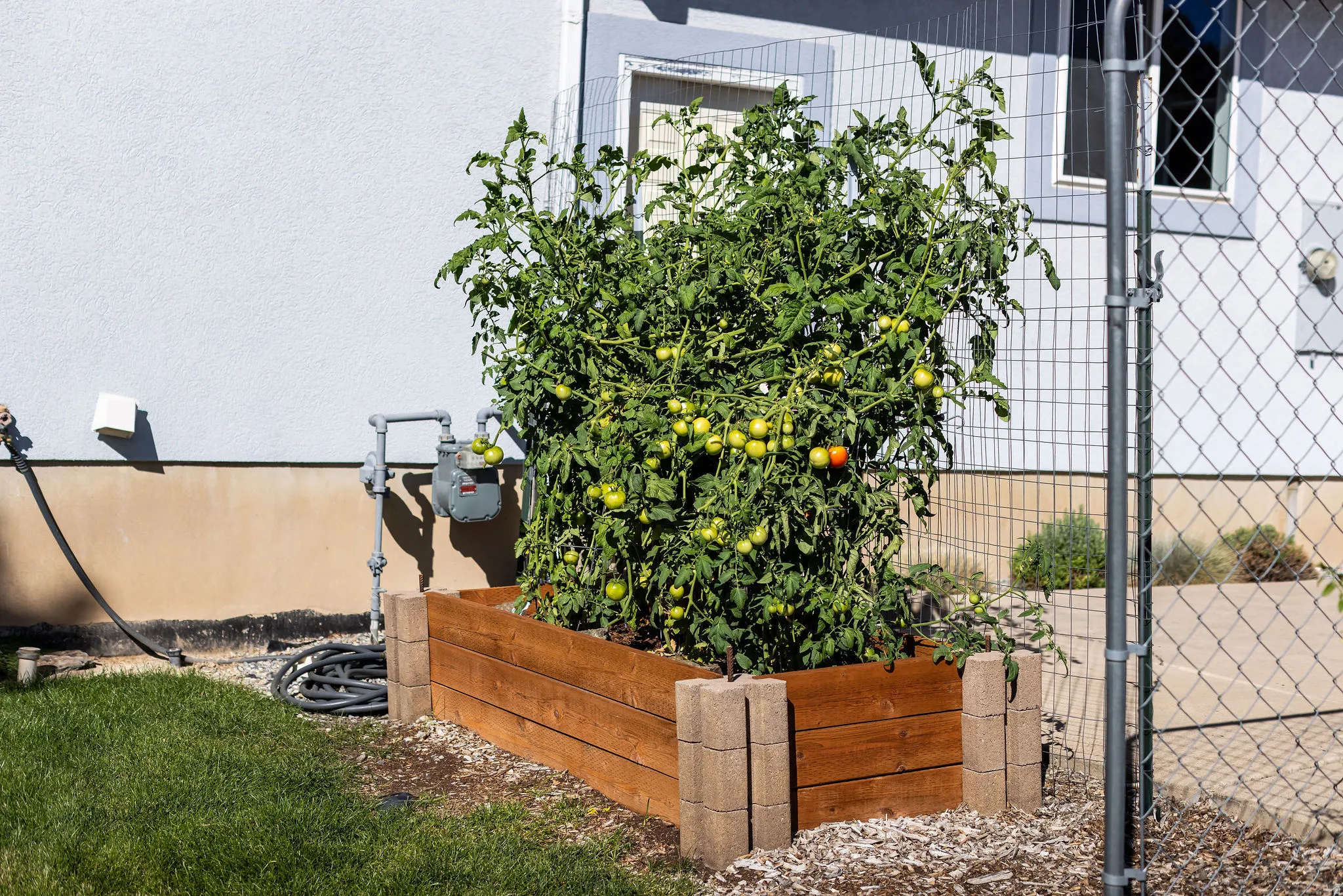 Raised garden bed with wood-finish siding