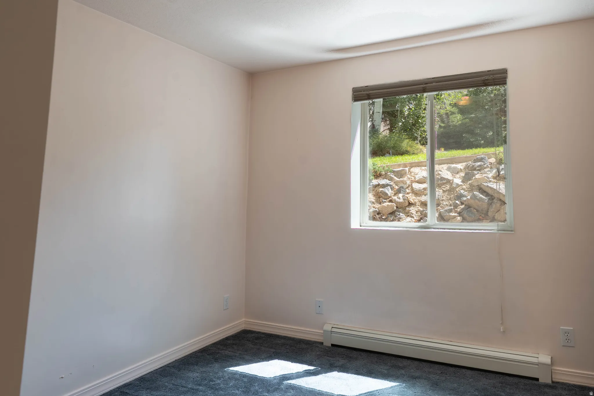 Recessed window with blinds, baseboard heating unit, wall-to-wall carpeting, and neutral wall paint