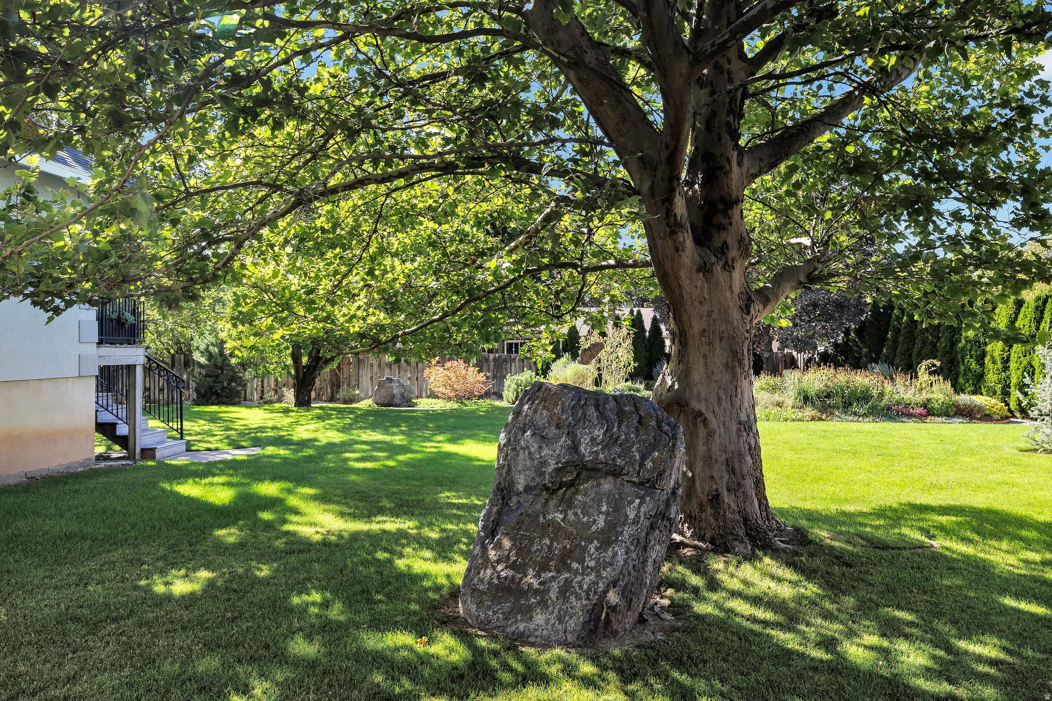Expansive lawn area featuring a large mature tree, a decorative boulder, and a landscaped garden bed along the property line