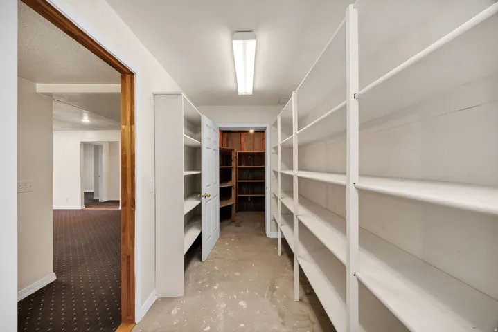 Extensive built-in shelving, corridor with carpeted flooring, and a flush mount ceiling light fixture