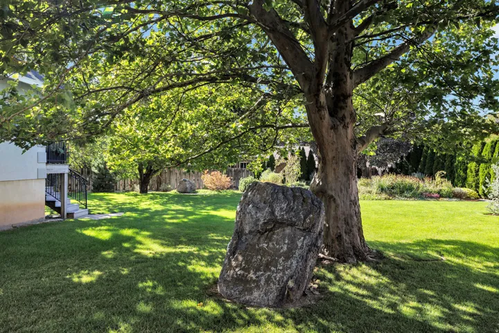 Expansive lawn area featuring a large mature tree, a decorative boulder, and a landscaped garden bed along the property line