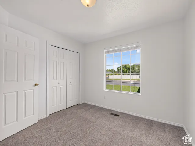 Neutral wall paint, carpet flooring, window with grid panes, bi-fold closet doors, and panel door