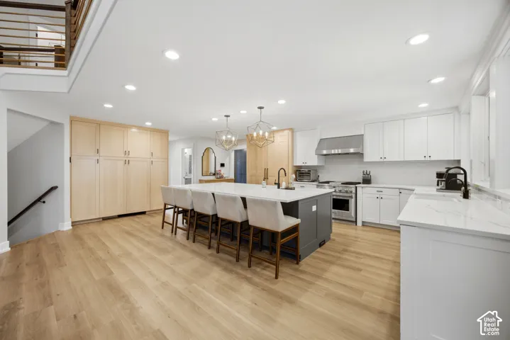 Spacious kitchen featuring white cabinetry, light wood-finish flooring, a large island with seating, stainless steel appliances, and recessed lighting