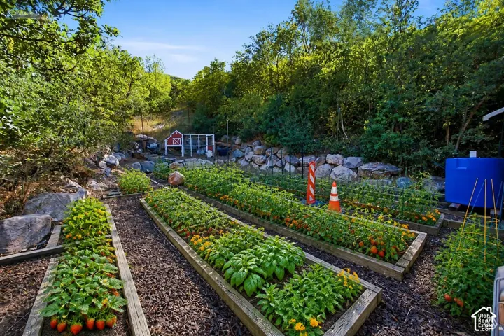Expansive garden area featuring multiple raised beds with cultivated plantings