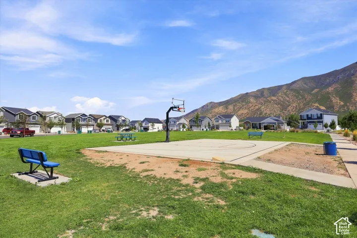 Expansive green space featuring a basketball court, picnic table, and benches