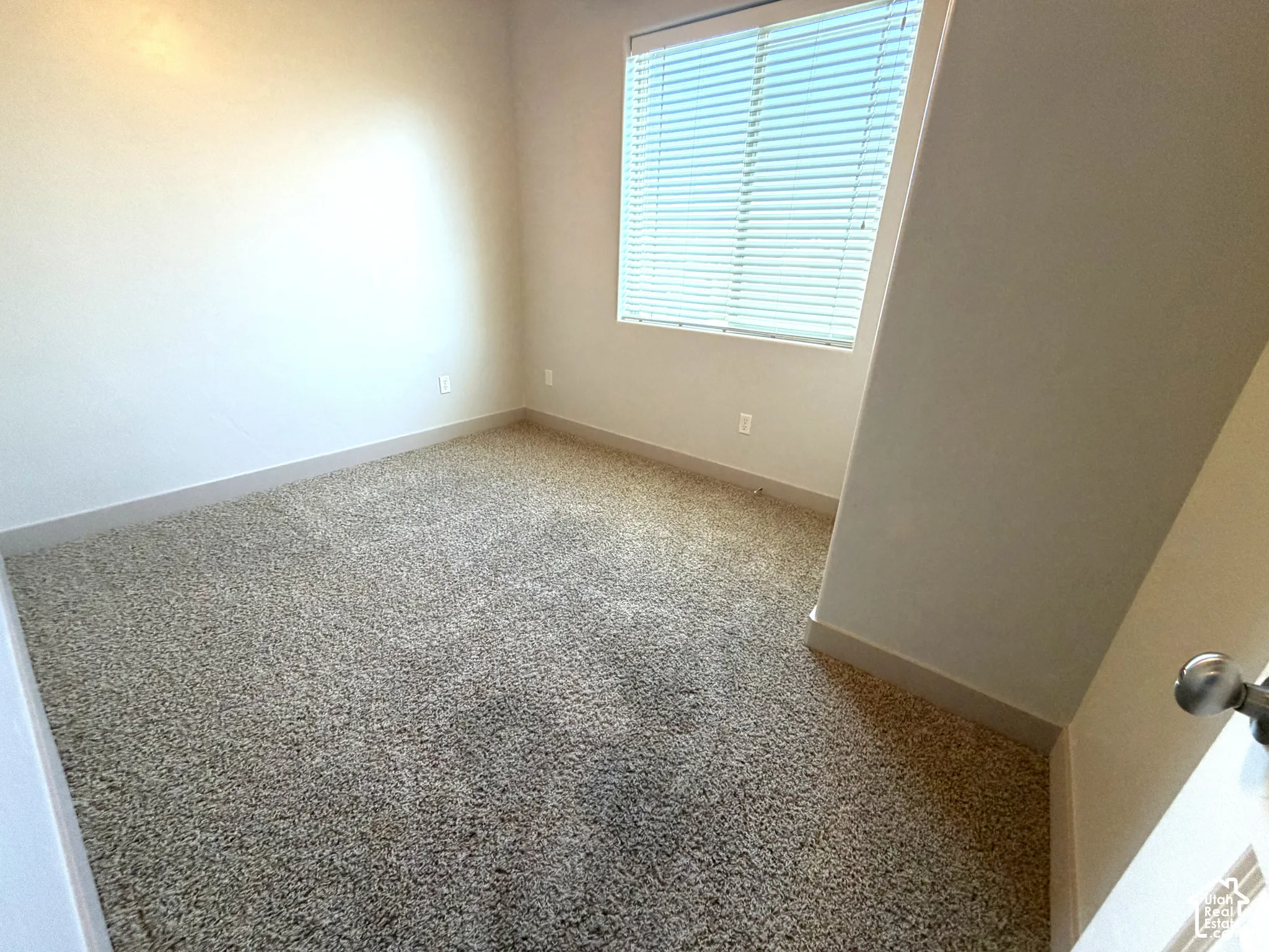 Light-colored wall finishes, window with horizontal blinds, and textured carpeting
