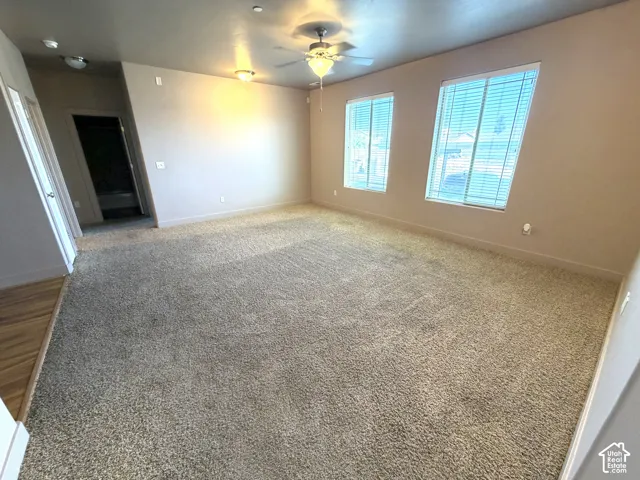 Plush carpeting throughout, paired with multiple windows featuring horizontal blinds