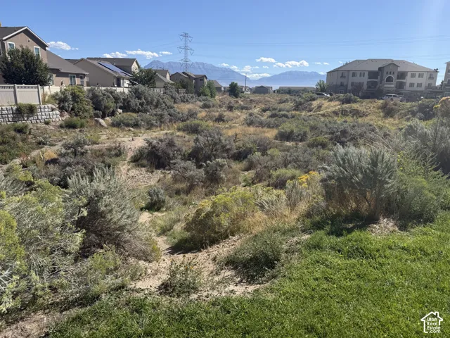 Expansive undeveloped land featuring natural vegetation and distant mountain ranges
