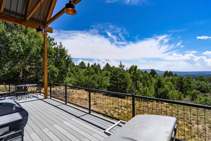 Covered outdoor deck with light gray decking, black metal railing, and exposed wood beam ceiling