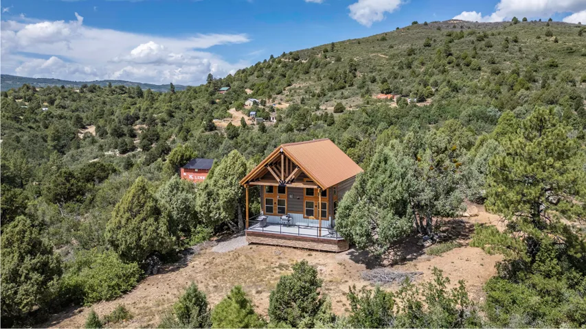 Wood-sided cabin featuring a metal roof, an expansive deck with railing, and exposed timber framing