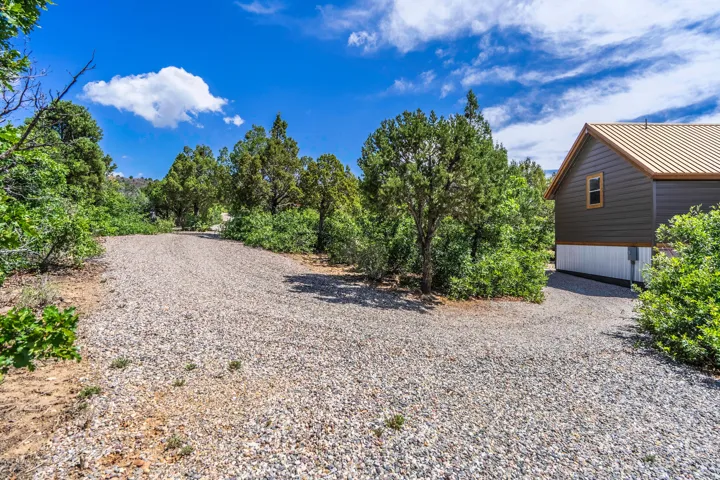 Gravel driveway with natural landscaping