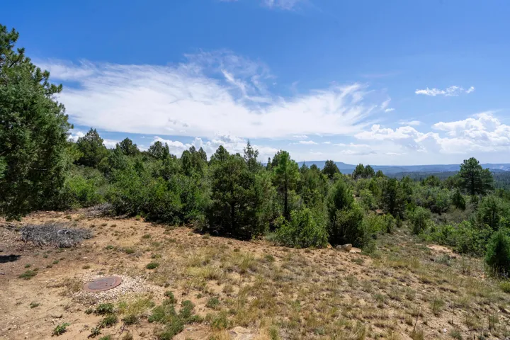 Sloping terrain with natural ground cover and abundant trees
