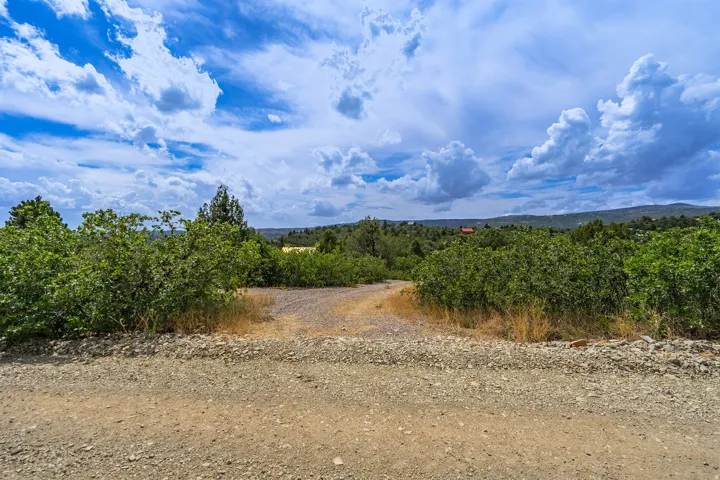 Gravel road entrance amidst abundant natural foliage