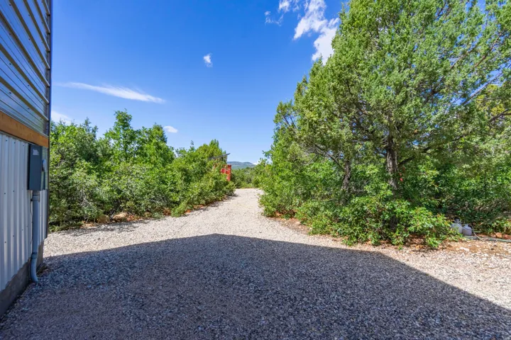 Gravel driveway with surrounding mature trees and natural landscaping