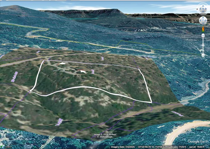 Geographic Information System (GIS) Plot. Illustrating the boundaries of the property within a topographical context