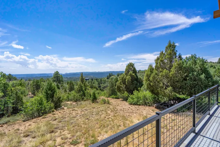 Expansive outdoor deck with a metal grid railing
