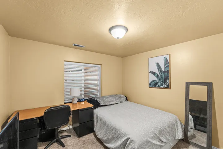 Wall-to-wall carpeting with a neutral wall color and a flush-mount ceiling light