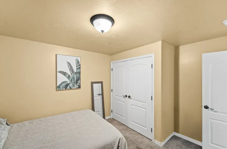 Light-colored walls, ceiling-mounted light fixture, white interior doors, and neutral carpeting